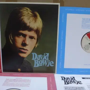 David Bowie | title Photo Archive 10036668;美盤⁄Ireland盤Bowie