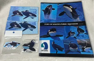 나고야항 수족관 더블 포켓 클리어 파일 엽서 마그넷 범고래