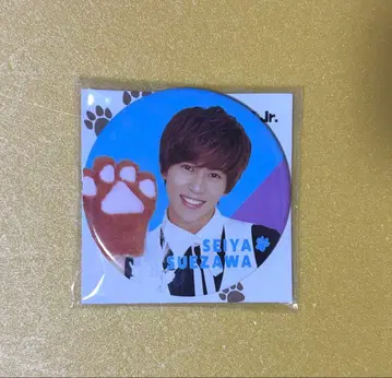 A! group 스에자와 세이야 2018 칸쥬 캔뱃지