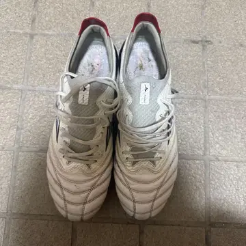 모렐리아 네오 4 베이 26.5