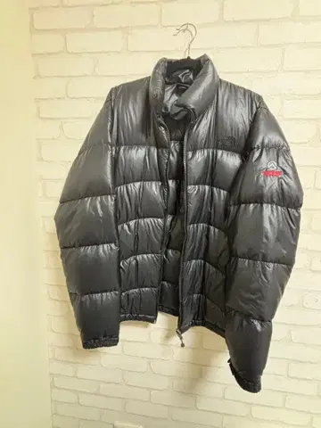 THE NORTH FACE SUMMIT 다운 자켓