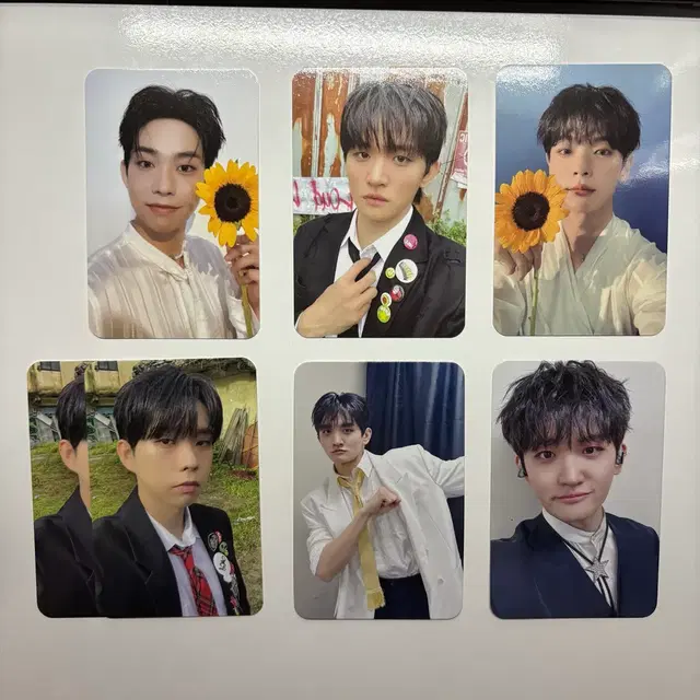 루시 선 앨범 포카, 안아주이소ver 포카