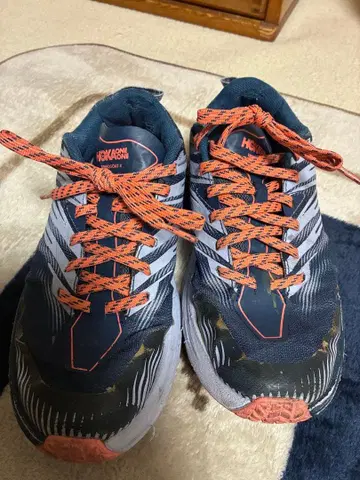 호카오네오네 스피드 고트 4