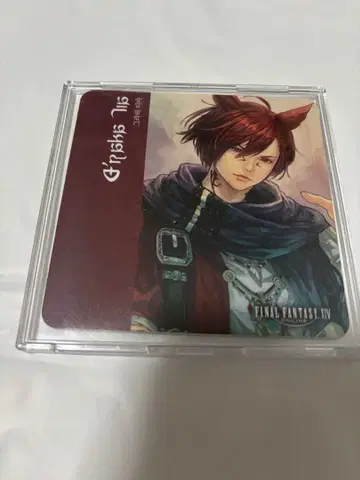 파이널 판타지 XIV 그라하 티어 코스터