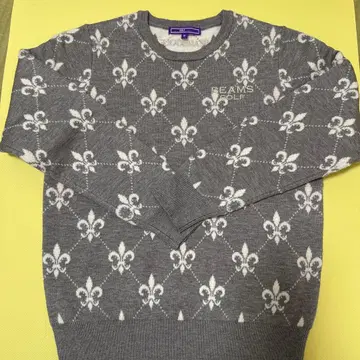 빔즈 골프 셋업