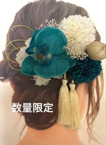 팔레놉시스 머리 장식 세트