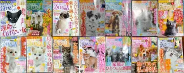 정말 눈물 나는 이야기 14권 여성용 코믹 묶음 판매