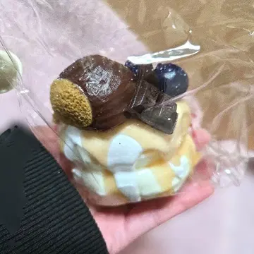 말랑말랑 떡감 M 사이즈 밤 케이크 수플레빵 타바스코 스퀴즈