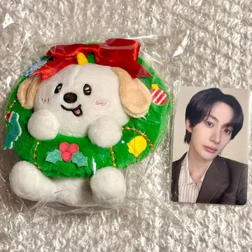 앤톤 RIIZE 109 마스코트 키링 봉제 인형 혜택 트레이딩 카드