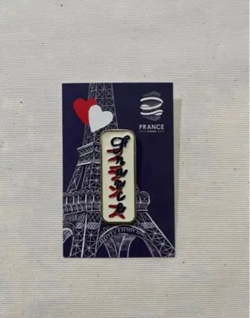 간사이 만국 박람회 프랑스관 핀 배지