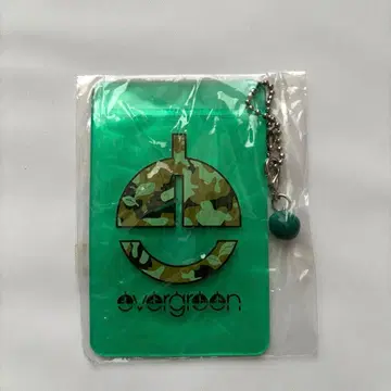 Aqua Timez ever green tour 패스 케이스