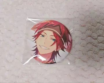 앙스타 피처 캔뱃지 casual 린네