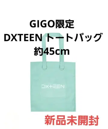 새상품 GIGO 한정판 DXTEEN 토트백