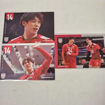 배구 남자 일본 대표 이시카와 유키 타카하시 란