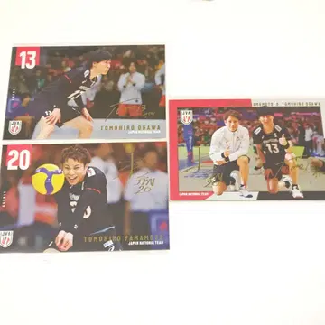 남자 배구 일본 대표 오가와 토모히로 야마모토 토모히로