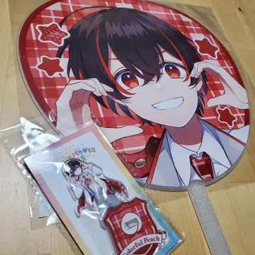 [ 익명 배송 ] 컬러풀 피치 유안군 2점 세트