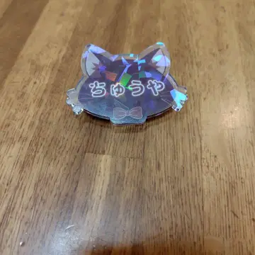 레어 문호 스트레이독스 난자타운 콜라보 나카하라 츄야 네임 배지 컬렉션