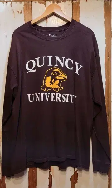 US 구제 의류 챔피온/레어 컬러/롱 슬리브 T셔츠/L