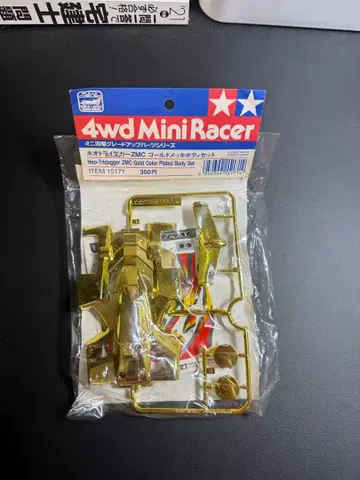 ZMC 골드 컬러 바디 세트