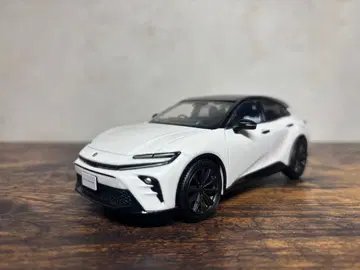 크라운 스포츠 색감 견본