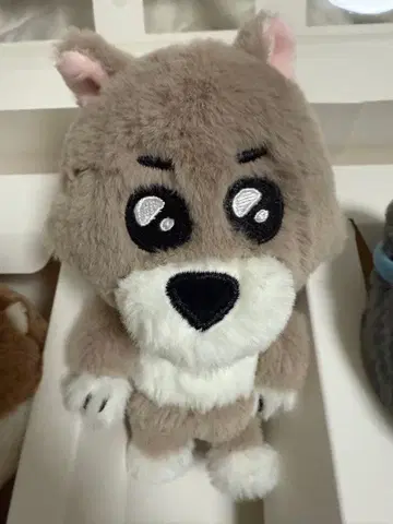 부넥도 명명 키링 BOYNEXTDOOR 재희