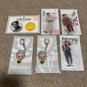 이와모토 테루 아크릴 스탠드 아크릴 키링 캔 배지 SnowMan