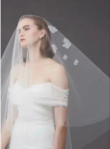 트리트 드레싱 롱 베일