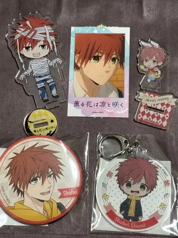 우사미 쇼헤이 굿즈 세트