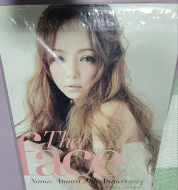 아무로 나미에 팜플렛 NEVER LAND The face