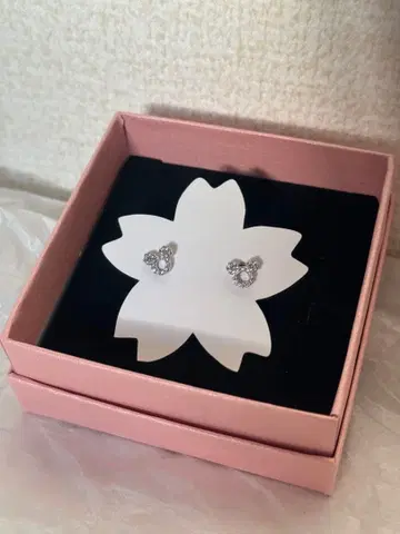 지르코니아 귀찌 고급 데일리용