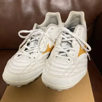 미즈노 모나르시다 네오 화이트/골드