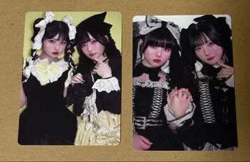 큐르링 해봐 큐르해 LARME 신기루 아뮤 트레이딩 카드 폴라로이드