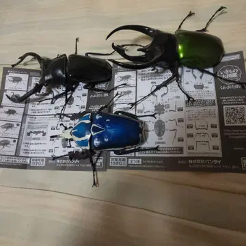 생물대도감 투구벌레06 장수풍뎅이07