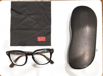 Ray-Ban 블랙 웰링턴 안경
