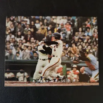 카루비 야구 카드 78년 도이 세이조 (자이언츠)