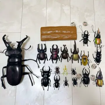 장수풍뎅이 사슴벌레 마법의 장수풍뎅이 사슴벌레 특대형 미야마 피규어 완구