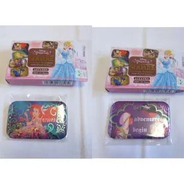 디즈니 프린세스 스퀘어 캔뱃지