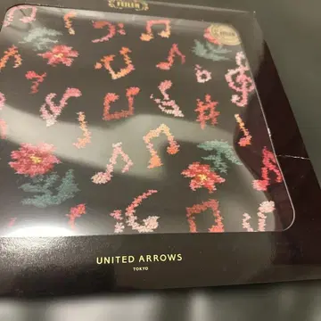 페이 타월 손수건 유나이티드 애로우즈