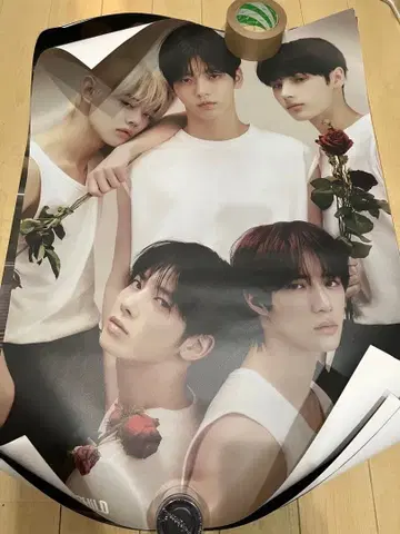 TXT 포스터 3장 세트