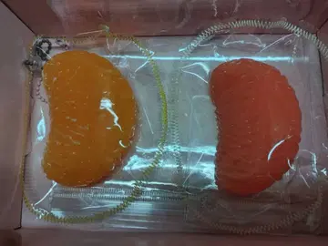 kikisquishy 스퀴즈