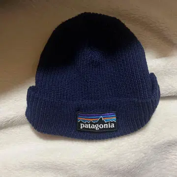 patagonia 비니