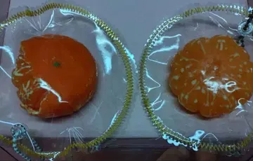 kikisquishy 스퀴즈