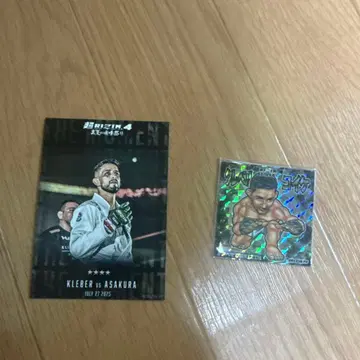 RIZIN PPV 구매 혜택 클레베르 코이케