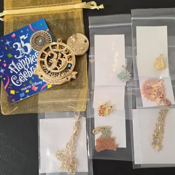 디즈니 Disney 타임 오브 셀레브레이션 35주년 참