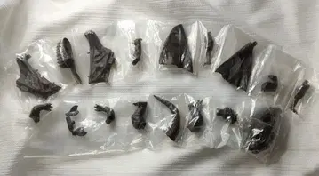 HG 시리즈 고질라 괴수 총진격편 바라곤 라돈 세트