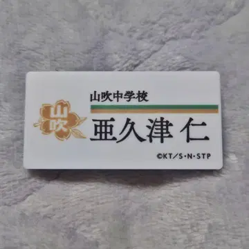 신 테니스의 왕자님 명찰 배지 컬렉션 아쿠츠 진