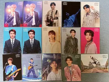 Mrs. GREEN APPLE 바벨탑 포토 카드 와카이 히로토 15장