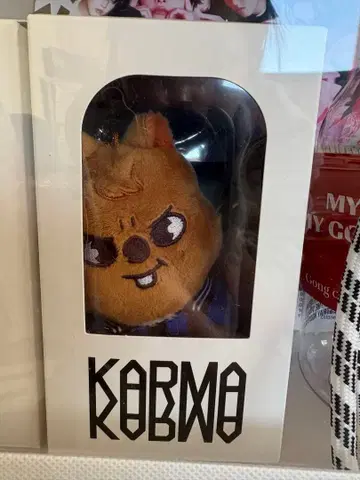 karma skzoo ver.