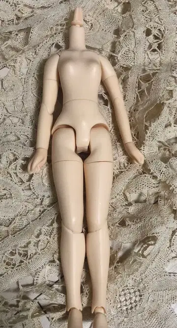 네오 브라이스 커스텀 브라이스 퓨어니모s 바디