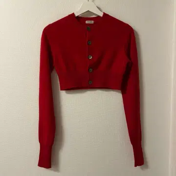 아인스크라이브 INSCRIRE 캐시미어 숏 가디건